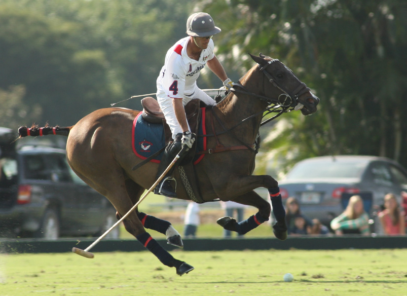 Alex Pacheco Polo Photography Friday