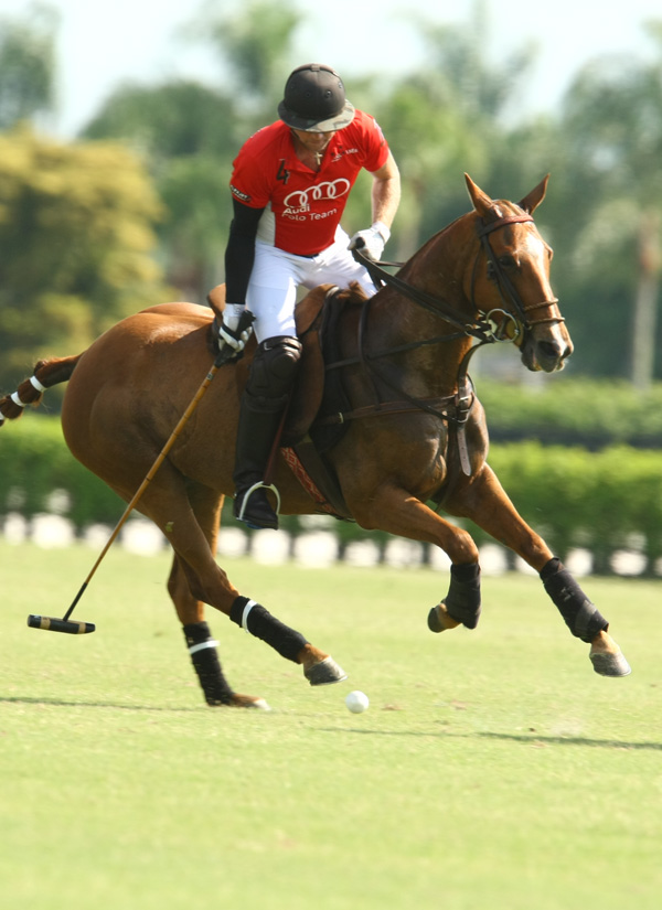 Eastern challenge polo tournament polo mag 7