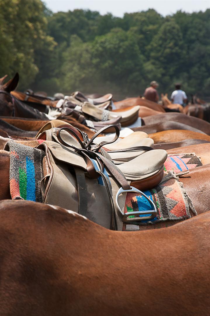 thierry poussard exhibit expo polo magazine 1