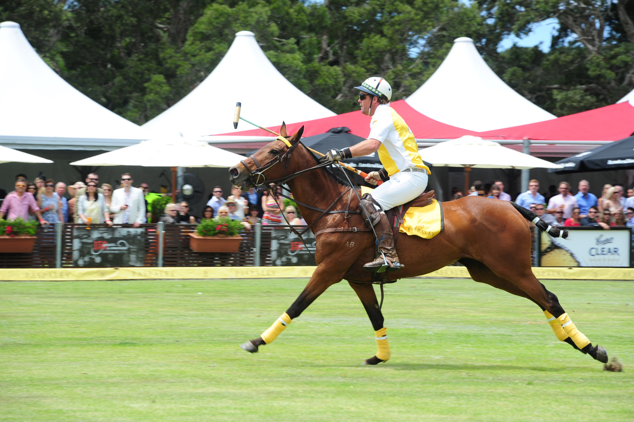 Paspaley Polo in the City 2012 POLO Magazine 11