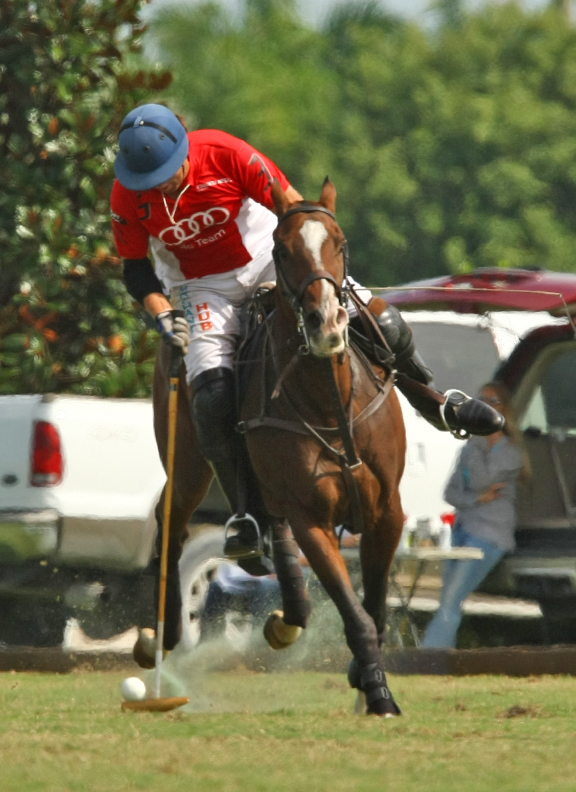 Photos-USPA Fall Plates final 2