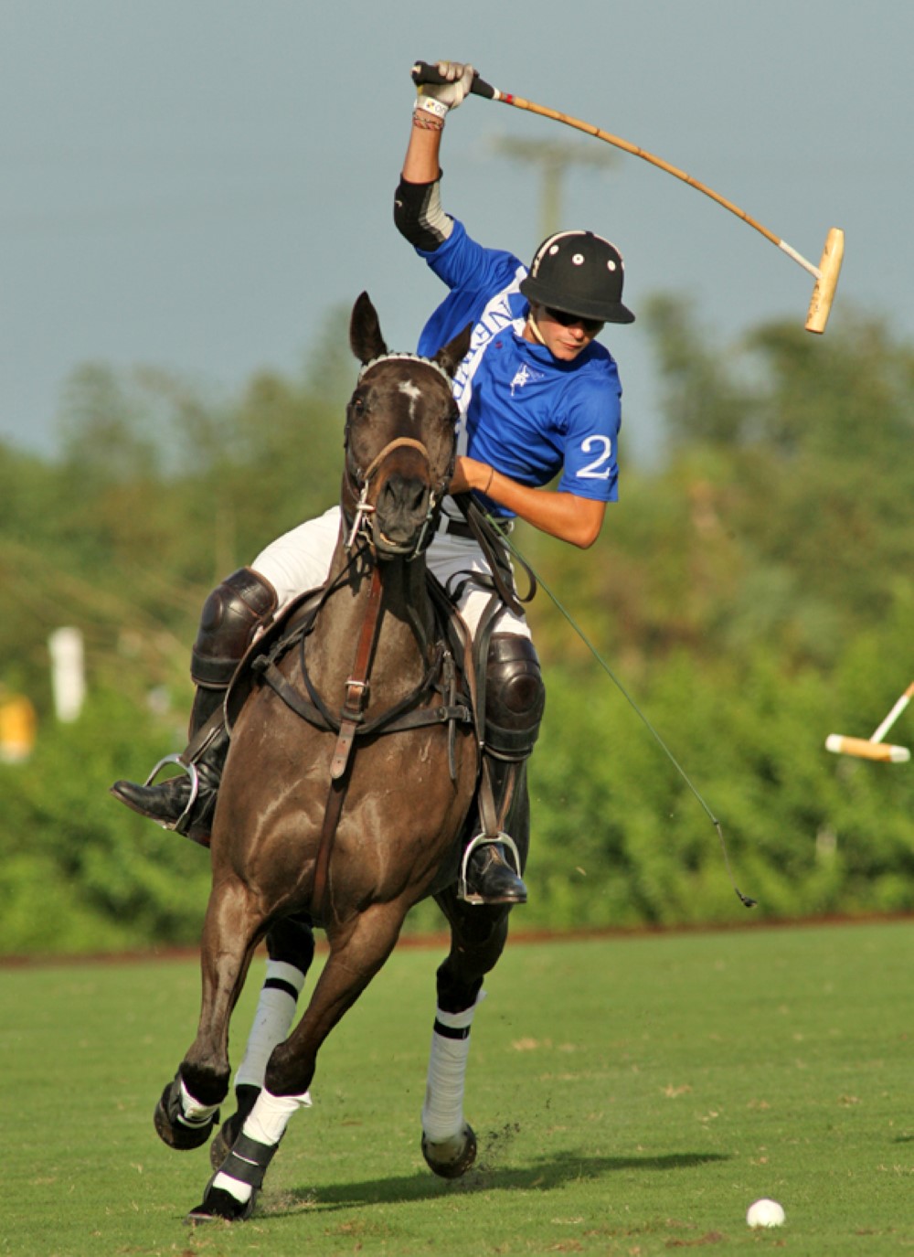 Grand Champions @ PBP