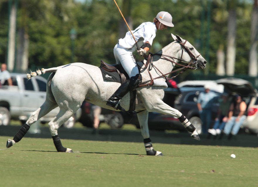 final 2 polomagazine.jpg