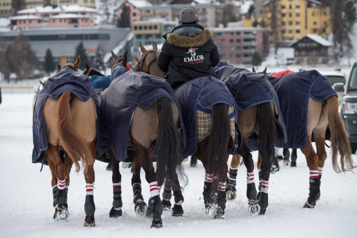 polo-world-cup-on-snow-stmoritz-2016 24659916536 o