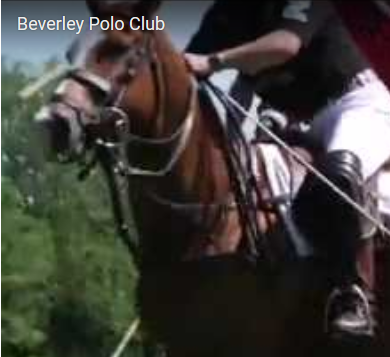 beverlypc