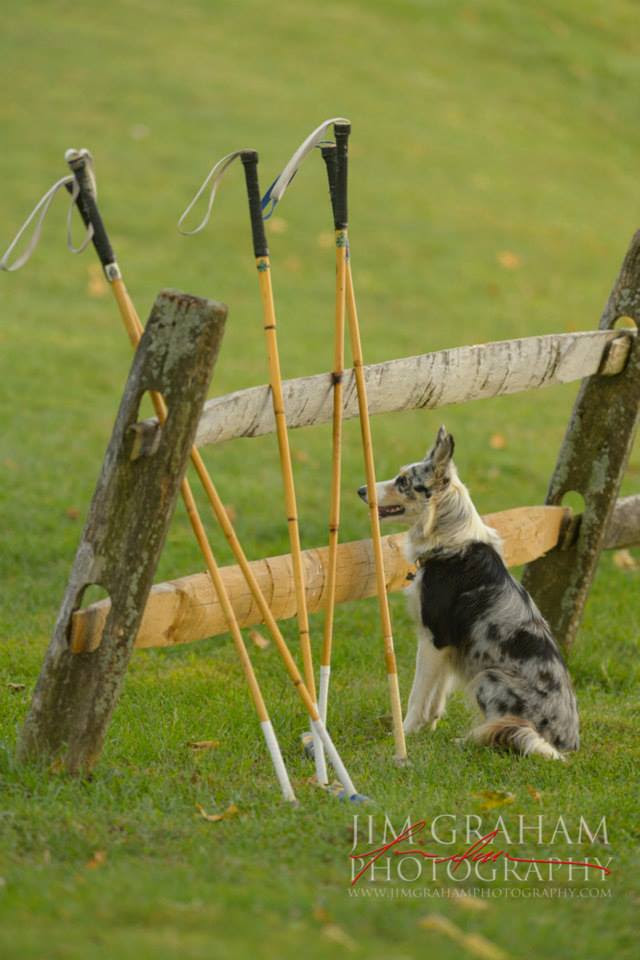 BPC 2018 Social and Tailgate Memberships Now Available